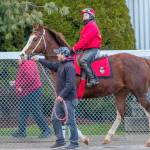 Emerald Downs to open for horse racing June 22