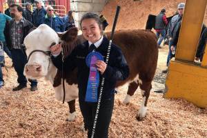 Weekend livestock show fills the void for kids and their animals