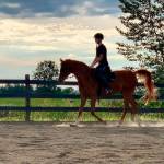 With large events cancelled, check out hobby activities close to home