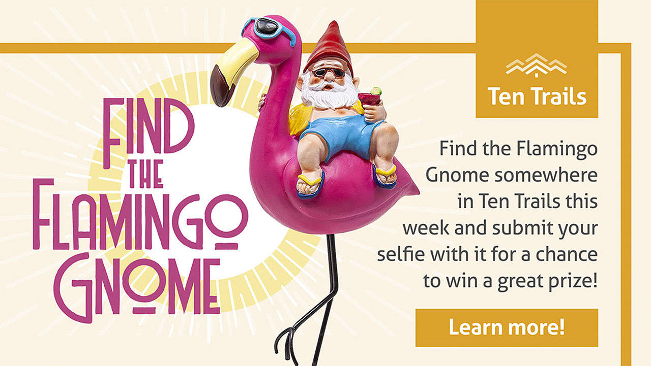 Image courtesy Ten Trails