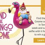 Image courtesy Ten Trails