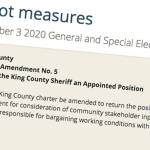 Council rejects Sheriff’s Office ballot proposals promoted by county leaders