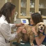 The Reber Ranch veterinary hospital is a family-owned, state-of-the-art pet care center, providing everything from routine vaccinations to surgery.                                The Reber Ranch veterinary hospital is a family-owned, state-of-the-art pet care center, providing everything from routine vaccinations to surgery.