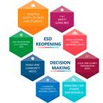 Enumclaw's decision making tree