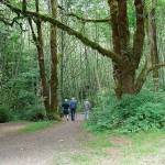 Flaming Geyser is one of the several state parks in proximity to the Plateau that you can visit for free on Jan. 1 and 18. Photo courtesy Washington State Parks