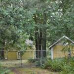 Property along Mud Mountain Road has sat vacant and unused for years. Now, a local group has come forward with a proposal for the city-owned park land. Photo by Kevin Hanson