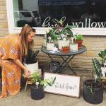 Johanna Kraemer setting up her pop up plant shop, The Wild Fern Co., on Cole Street pre-pandemic. Courtesy photo