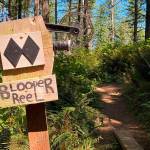 Signs along the “east side” of the Black Diamond Open Space indicate its favored status among mountain bikers. On the “west side” the ladder bridge spans a peaceful stretch of Ravensdale Creek. Photo by Kevin Hanson