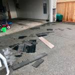 Photo courtesy Annie Nahon