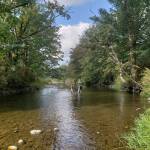 A portion of the South Prairie Creek, which recently received updates to its flood thresholds. Photo courtesy the Puget Sound Estuary Program