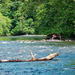 Flaming Geyser State Park, one of the many you can visit for free this weekend. Image courtesy Washington State Parks