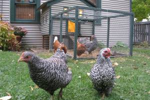 Image courtesy Scott Sayre