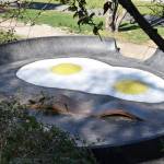 A view from above of the new skatepark. Photo by Alex Bruell