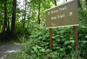 PHOTOS BY KEVIN HANSON
The River Trail at the Mud Mountain Dam Recreation Area provides a walk that offers occasional looks at the White River. The entry off the Rim Trail is well-marked and, of course, warning signs are necessary.