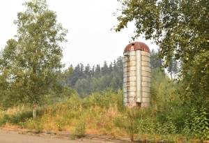 PHOTO BY KEVIN HANSON 
A proposal is before the Enumclaw City Council to change the zoning of undeveloped acreage to allow for multi-family housing. A decision is expected next week.