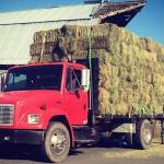 An image shared by the King County Sheriff's Office of the truck stolen on Aug. 18 from an Enumclaw area farm.