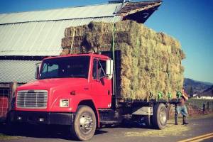 An image shared by the King County Sheriff's Office of the truck stolen on Aug. 18 from an Enumclaw area farm.