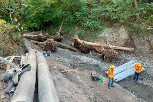 Crews removed the old culvert Pussyfoot Creek went through under SR 164 east of Auburn, then built a new natural creek bed . Removing the culvert opens up about 9.3 miles of habitat for coho salmon, steelhead and coastal cutthroat trout. Photo courtesy DOT