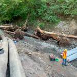 Crews removed the old culvert Pussyfoot Creek went through under SR 164 east of Auburn, then built a new natural creek bed. Removing the culvert opens up about 9.3 miles of habitat for coho salmon, steelhead and coastal cutthroat trout. Photo courtesy DOT
