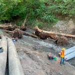 Crews removed the old culvert Pussyfoot Creek went through under SR 164 east of Auburn, then built a new natural creek bed. Removing the culvert opens up about 9.3 miles of habitat for coho salmon, steelhead and coastal cutthroat trout. Photo courtesy DOT