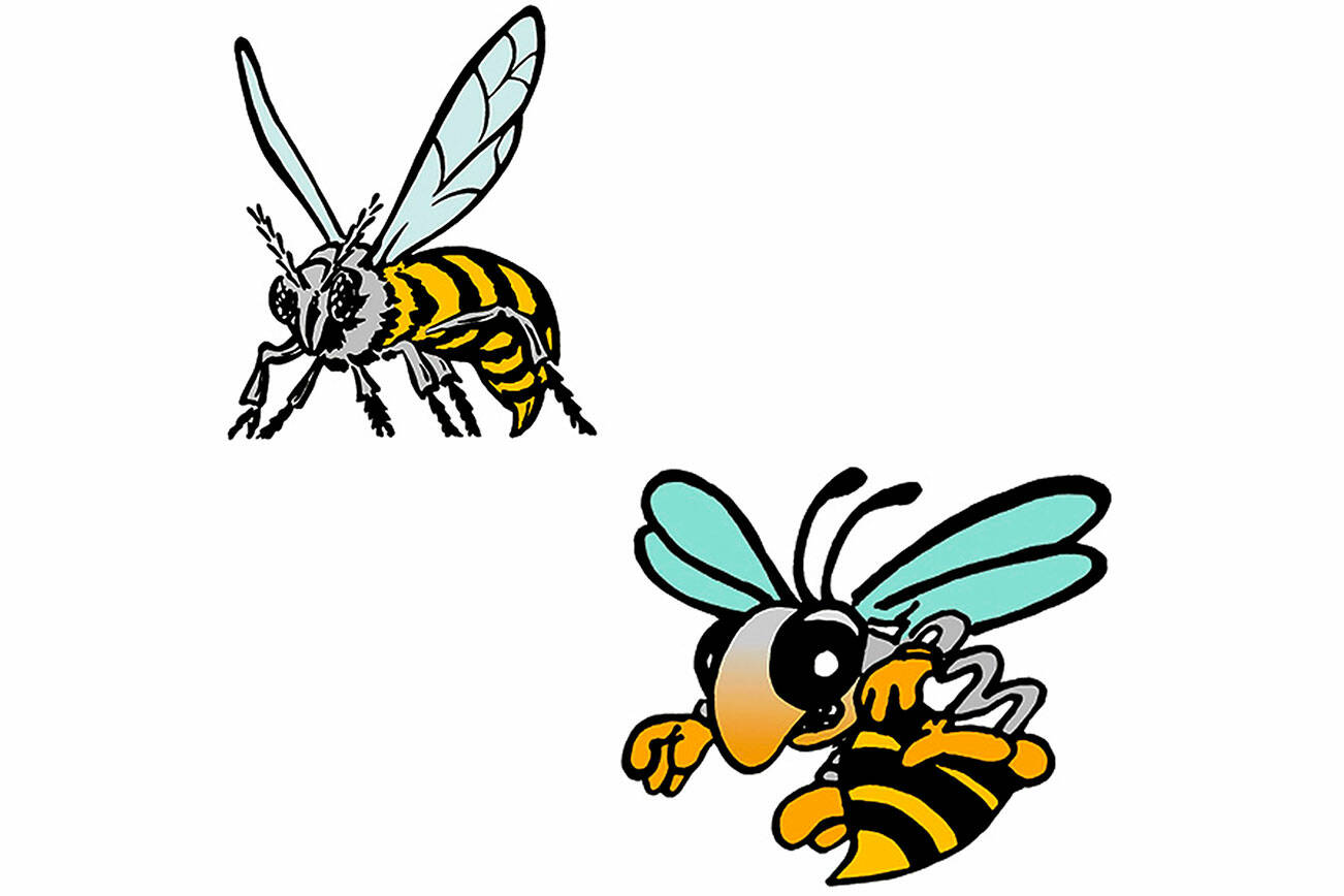 Enumclaw and White River High School logos