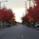 The colors are changing, and that means fall weather is here too. Photo taken looking south down Railroad Street in Enumclaw by Alex Bruell.
