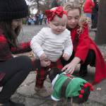 Marley Brown, 1, meets with Lulu.