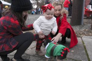 Marley Brown, 1, meets with Lulu in this file photo from Buckleys 2018 tree lighting.