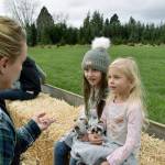 Lynn Pratt talks to her grandkids Charlie (middle) and Kacey (right) on a hay ride around the tree farm.
