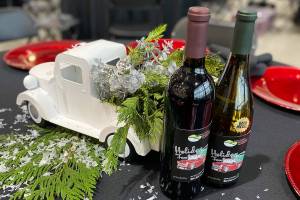 Photo courtesy Rainier Foothills Wellness Foundation