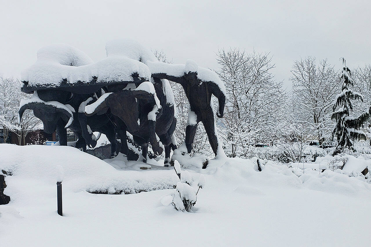 Several inches of snow fell on the Plateau over the Christmas weekend, and another 1 to 4 inches can be expected tonight (Wednesday, Dec. 29) and tomorrow. Photo by Ray Miller-Still
