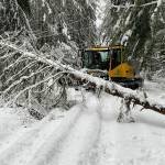 This image of a snowcat working near a downed tree in the Greenwater / Crystal Mountain area was shared by Puget Sound Energy spokesperson Melanie Coon.