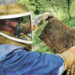 Stock image courtesy Metro Creative Connections