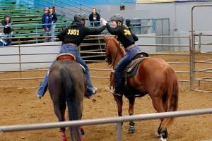 Kelsie Brock, left, and Hailey Robinett, right, celebrate after successfully sorting 10 calves during the cow sorting event at their first seasonal meet. Photo by Sierrabreeze Photography