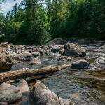 Kanaskat-Palmer State Park is one of the several local parks you can visit for free March 9, 19, and April 22. Photo courtesy Washington State Parks