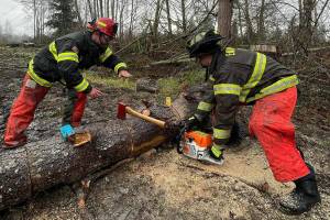Enumclaw firefighters received chainsaw training with other South King Count department earlier this year. Photo courtesy Enumclaw Fire Department