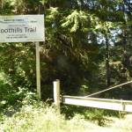 PHOTOS BY KEVIN HANSON
Most visitors to the Melmont Ghost Town trail park at a Pierce County entrance. Along the way, hikers discover a former dynamite shed and the standing remains of the Melmont school. The trail leads guests under the towering Fairfax Bridge.