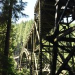 PHOTOS BY KEVIN HANSON
Most visitors to the Melmont Ghost Town trail park at a Pierce County entrance. Along the way, hikers discover a former dynamite shed and the standing remains of the Melmont school. The trail leads guests under the towering Fairfax Bridge.