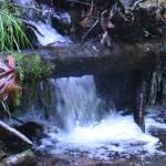 Flaming Geyser State Park is gorgeous this time of year, particularly off the beaten path where trails welcome hikers. The trek to Bubbling Geyser involves a decent climb but the view along the way, including this tiny waterfall, is worth it. Photo by Kevin Hanson