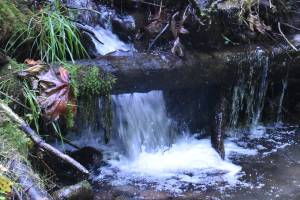 Flaming Geyser State Park is gorgeous this time of year, particularly off the beaten path where trails welcome hikers. The trek to Bubbling Geyser involves a decent climb but the view along the way, including this tiny waterfall, is worth it. Photo by Kevin Hanson