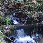 Flaming Geyser State Park is gorgeous this time of year, particularly off the beaten path where trails welcome hikers. The trek to Bubbling Geyser involves a decent climb but the view along the way, including this tiny waterfall, is worth it. Photo by Kevin Hanson