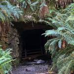 An excursion up the Old Mine Trail is short, steep and leads to the mouth of a long-abandoned mine. Photo by Kevin Hanson