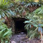An excursion up the Old Mine Trail is short, steep and leads to the mouth of a long-abandoned mine. Photo by Kevin Hanson