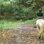 The access road to the Green River Natural Area is sometimes used by equestrians. Photo by Kevin Hanson