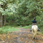 The access road to the Green River Natural Area is sometimes used by equestrians. Photo by Kevin Hanson