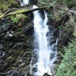 The trailhead for Ranger Falls/Green Lake is clearly marked, three miles from the end of Carbon River Road; the trail to the falls is mostly uphill but provides great natural scenery; and, finally, the roaring falls is the ultimate payoff. Photos by Kevin Hanson