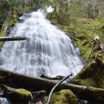 Snowpack melt rushes from a waterfall about one mile into the Palisades trail. Photo by Alex Bruell