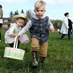 Thomasson Family Farm has an ongoing egg hunt area, where kids can search for eggs at their leisure from 9 a.m. to 2 p.m., as well as myriad other activities for children and their families to enjoy. Photo by Ray Miller-Still