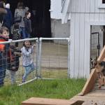 Photo by Alex Bruell