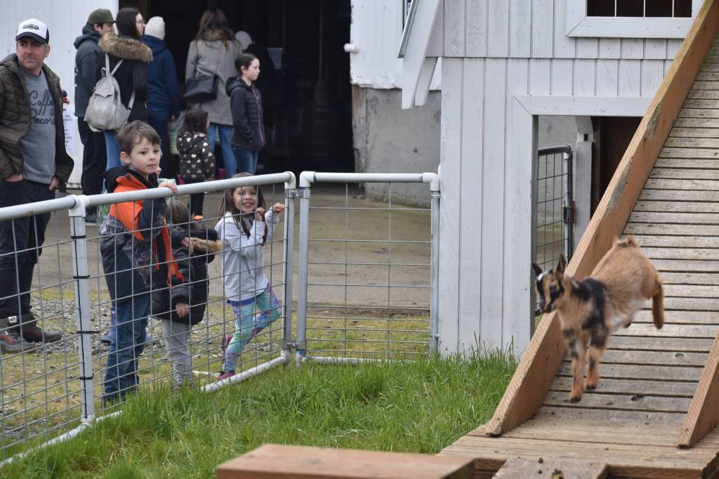 Photo by Alex Bruell